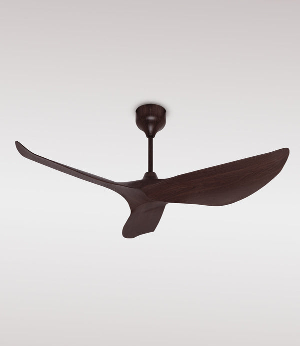 Designer fans for living room