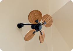 Wall Fans