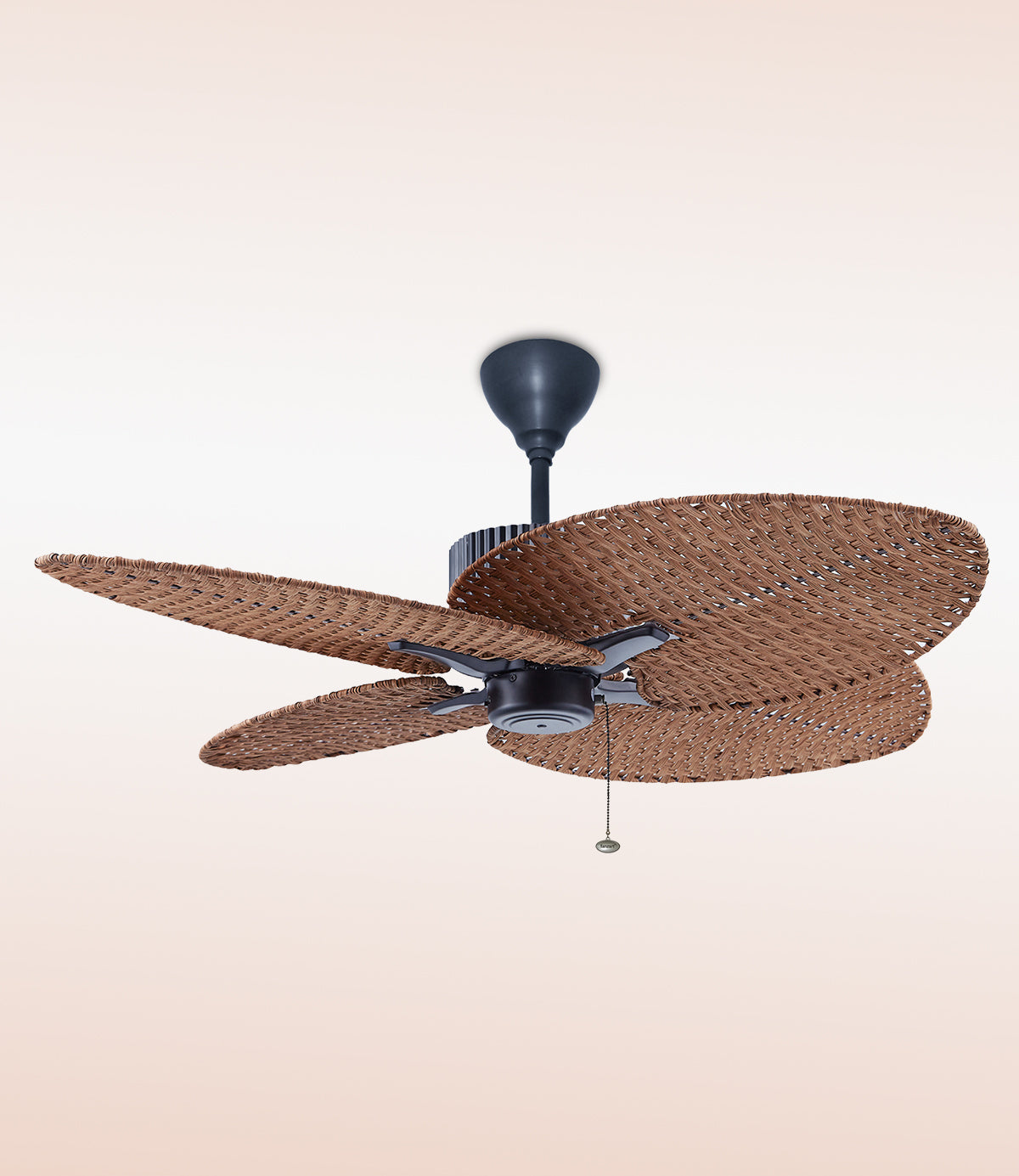 Trendy Fans | Trendy Ceiling Fans - Fanzart - FANZART FANS
