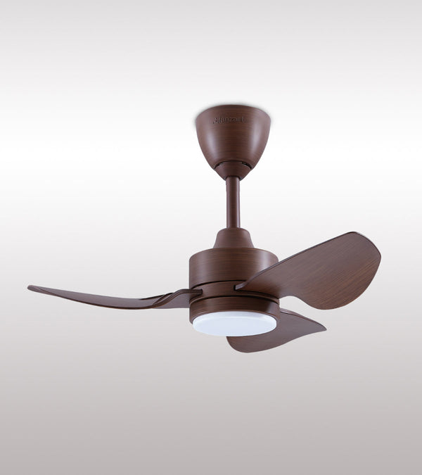 Fan In Dressing Room