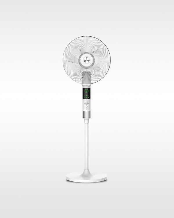 Pedestal Fan