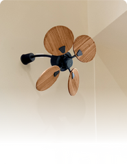 Wall Fans