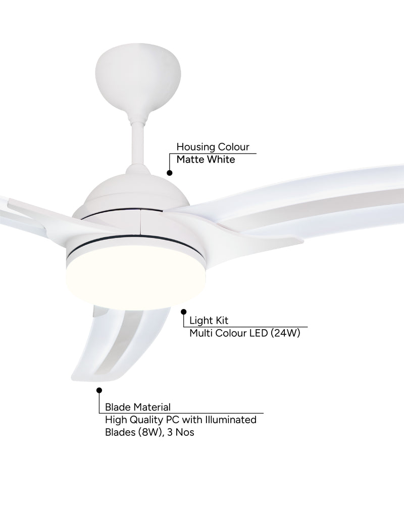 Blades : Illuminated Transparent