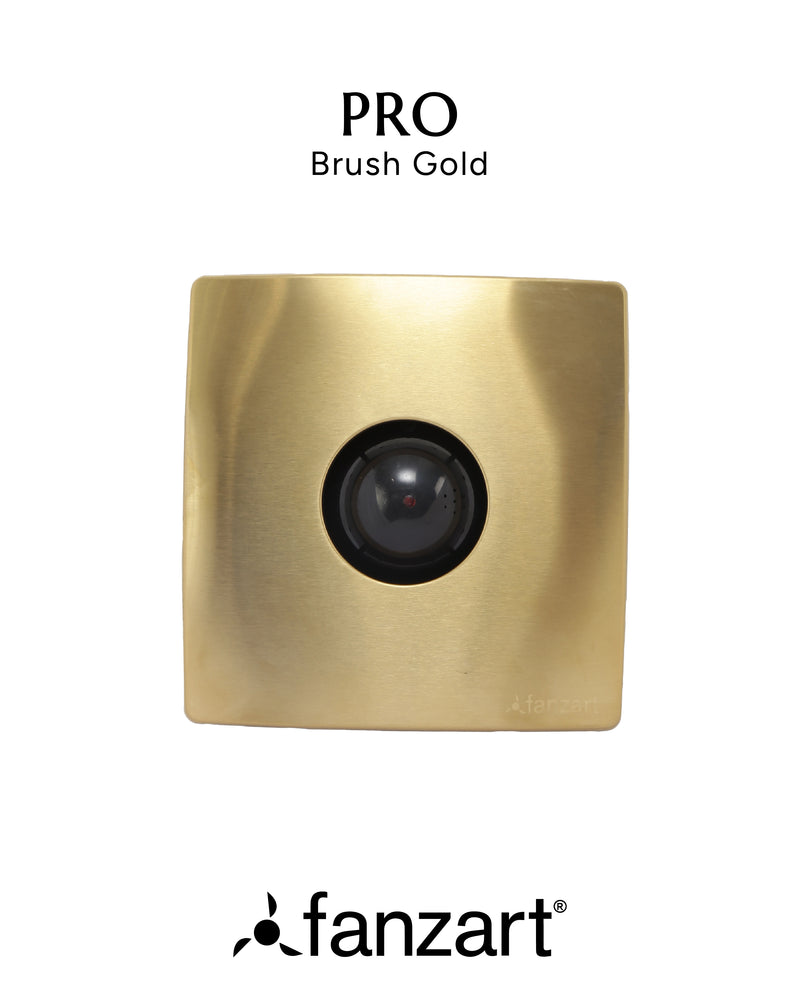 Brushed Stainless Steel - Gold