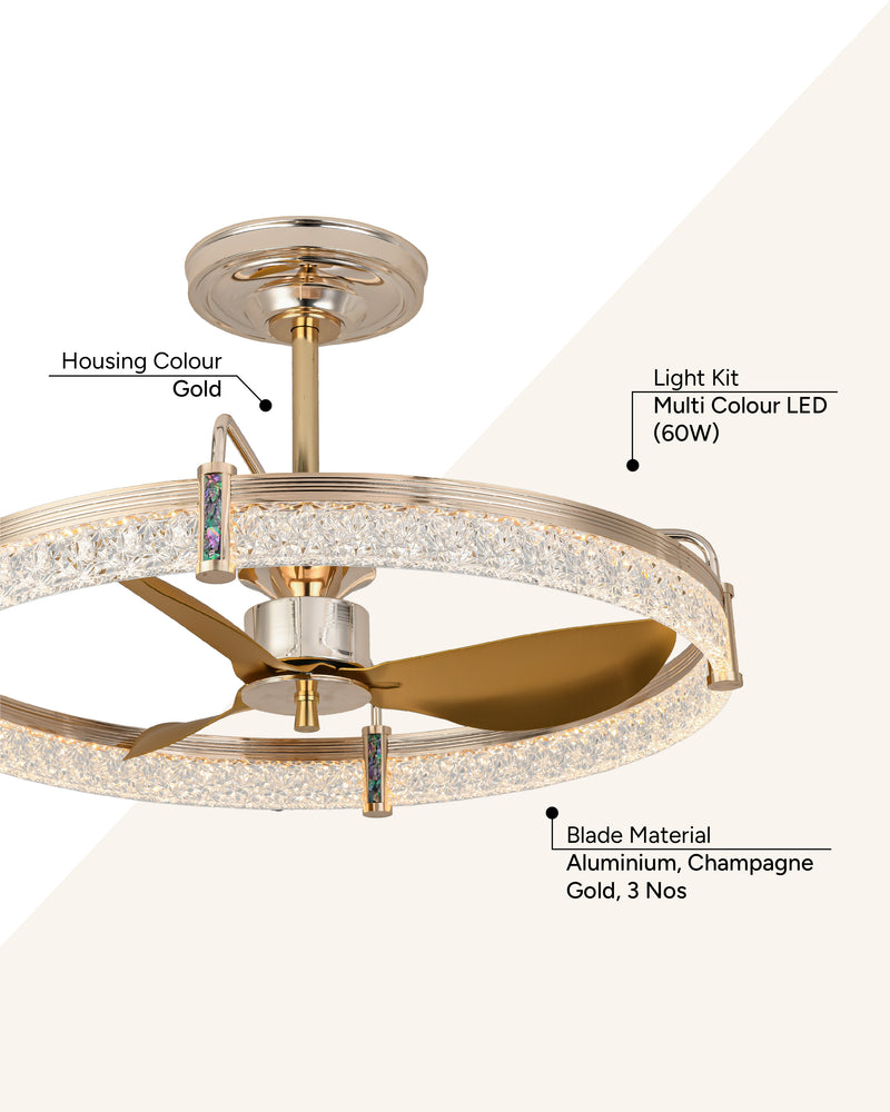 Blades: Champagne Gold