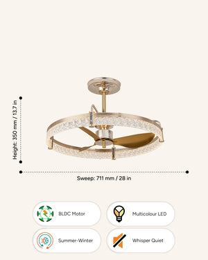 Blades: Champagne Gold