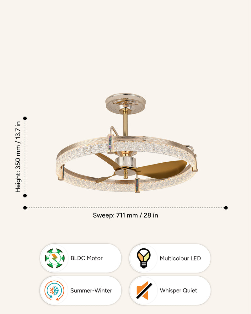 Blades: Champagne Gold