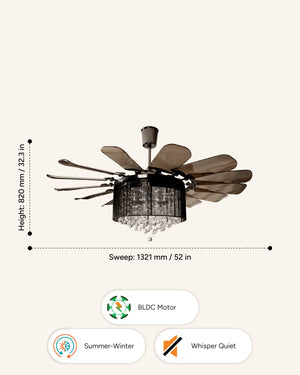 Blades: Transparent Black